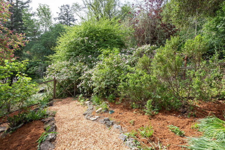 377 Wayside Rd, Portola Valley