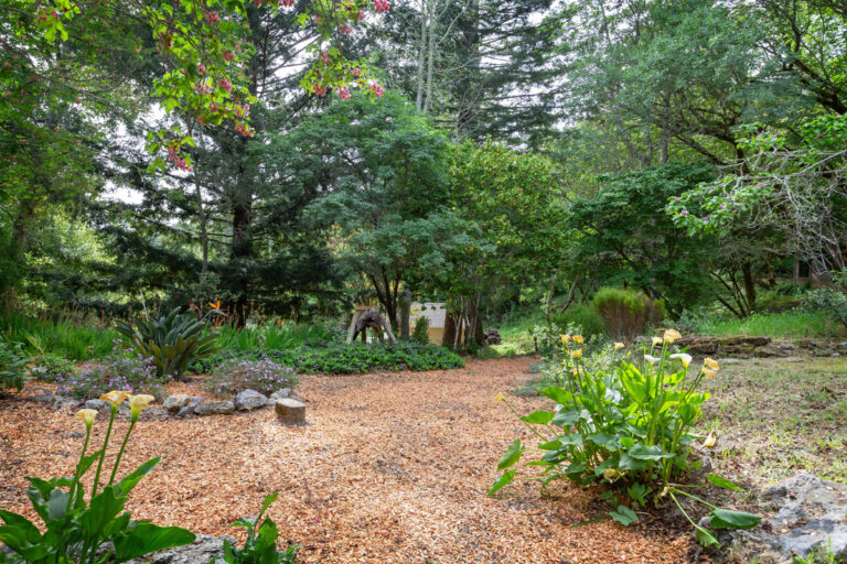 377 Wayside Rd, Portola Valley